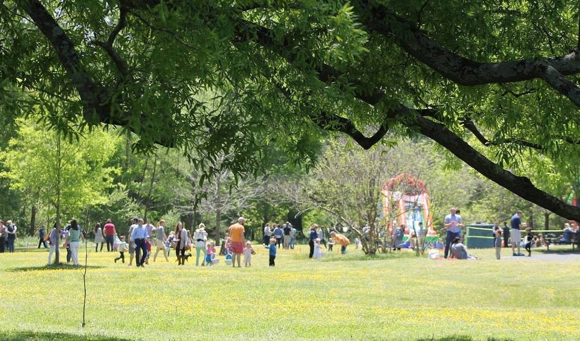 forest hills park photo 4