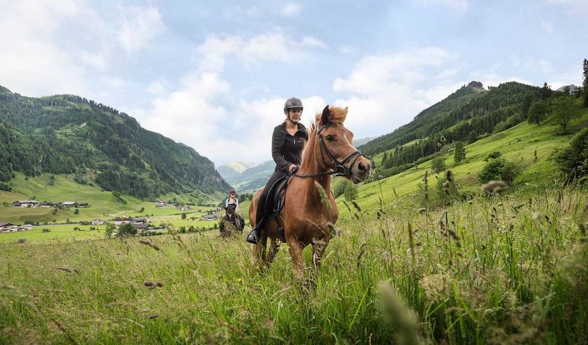 moar gut farm photo 2