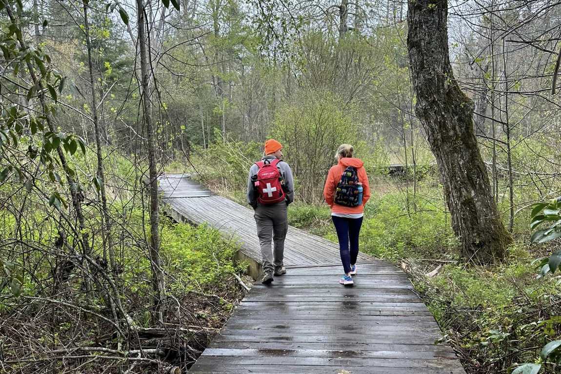 mills river park photo 3