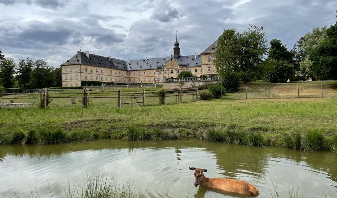 wild park castle tambach photo 6