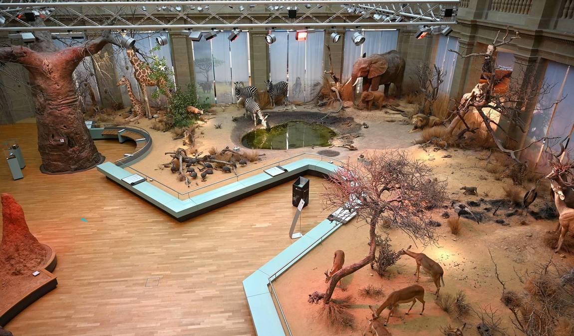 museum koenig photo 1