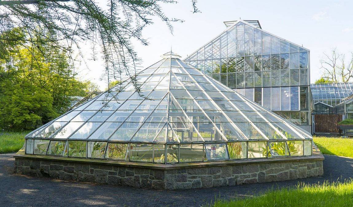 leipzig botanical garden photo 3