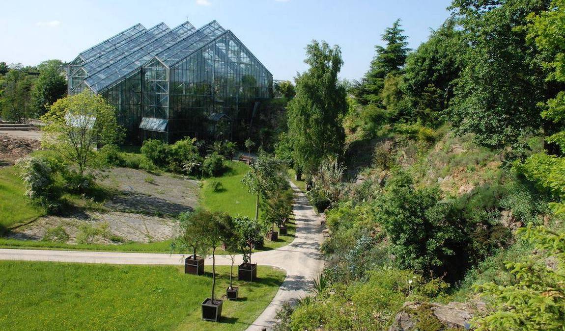 botanical garden osnabrück photo 1