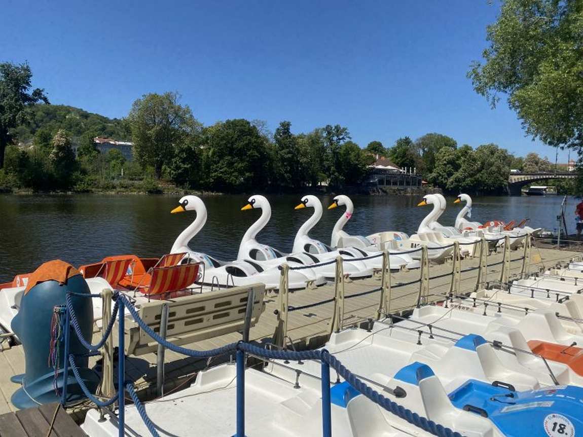paddle boats photo 1