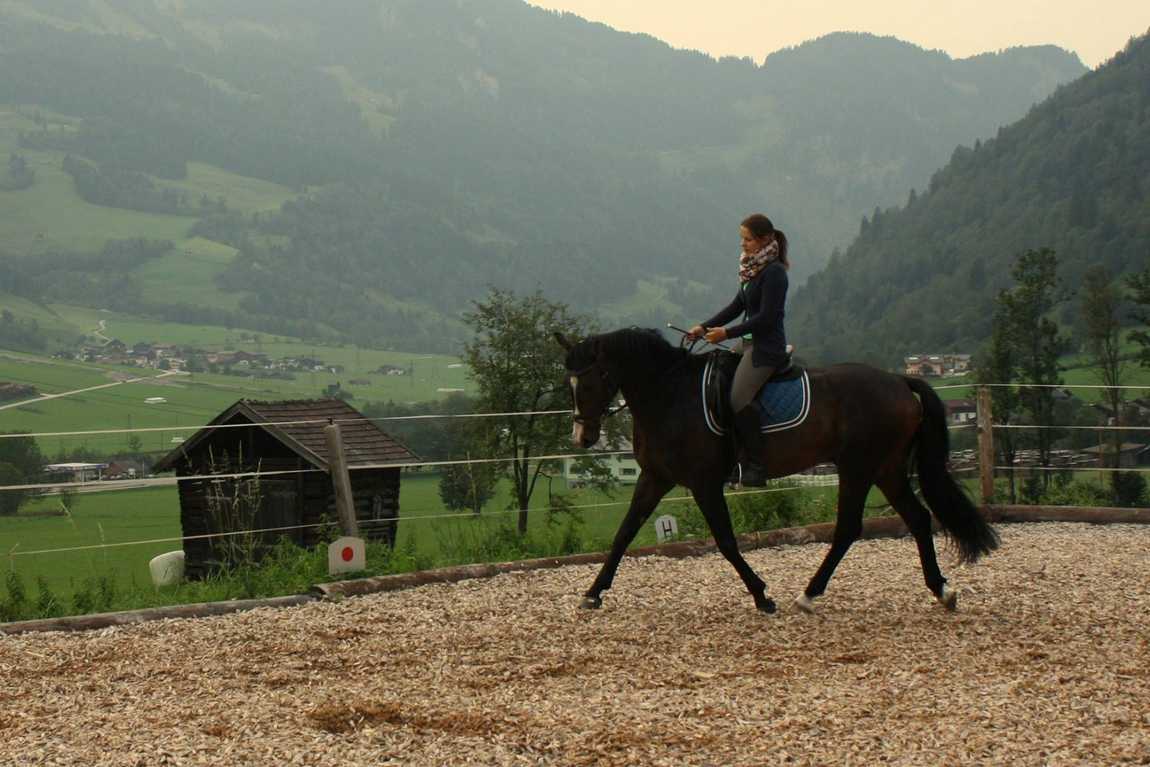 bio bauernhof tobhartbauer farm photo 2