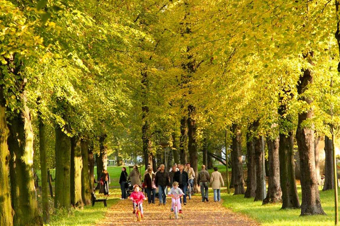 stadtpark rotehorn photo 1