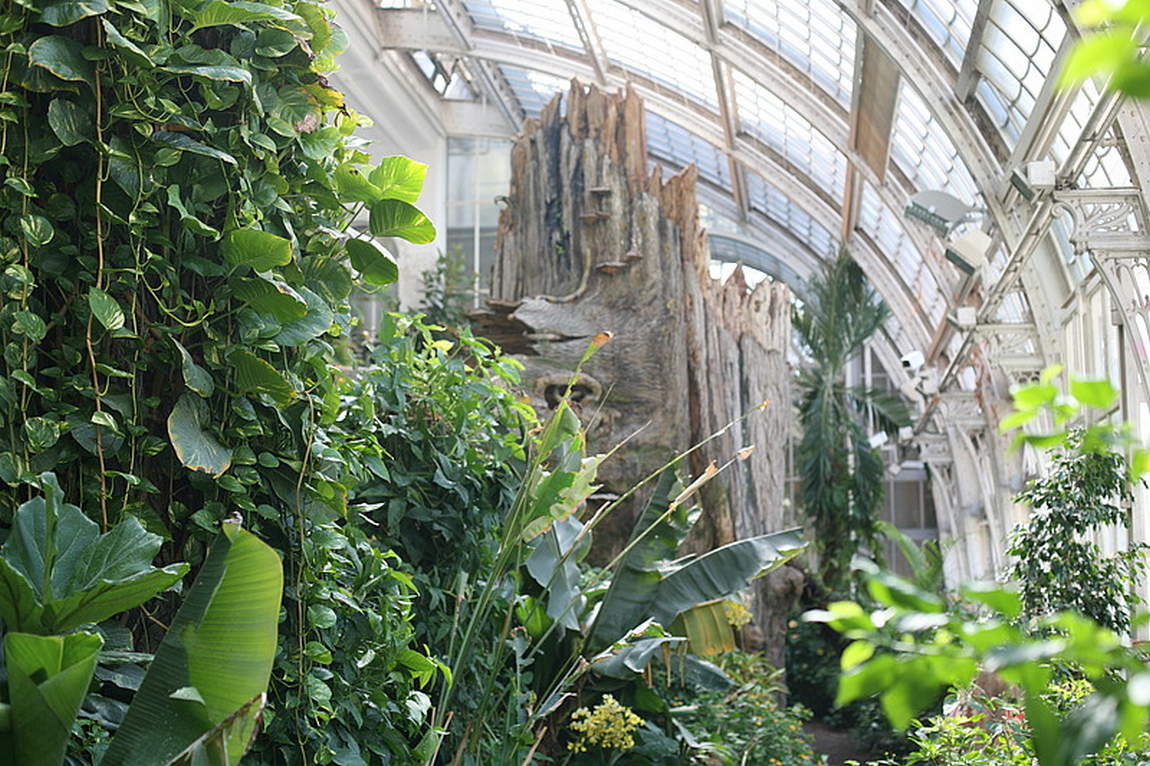 butterfly house photo 1