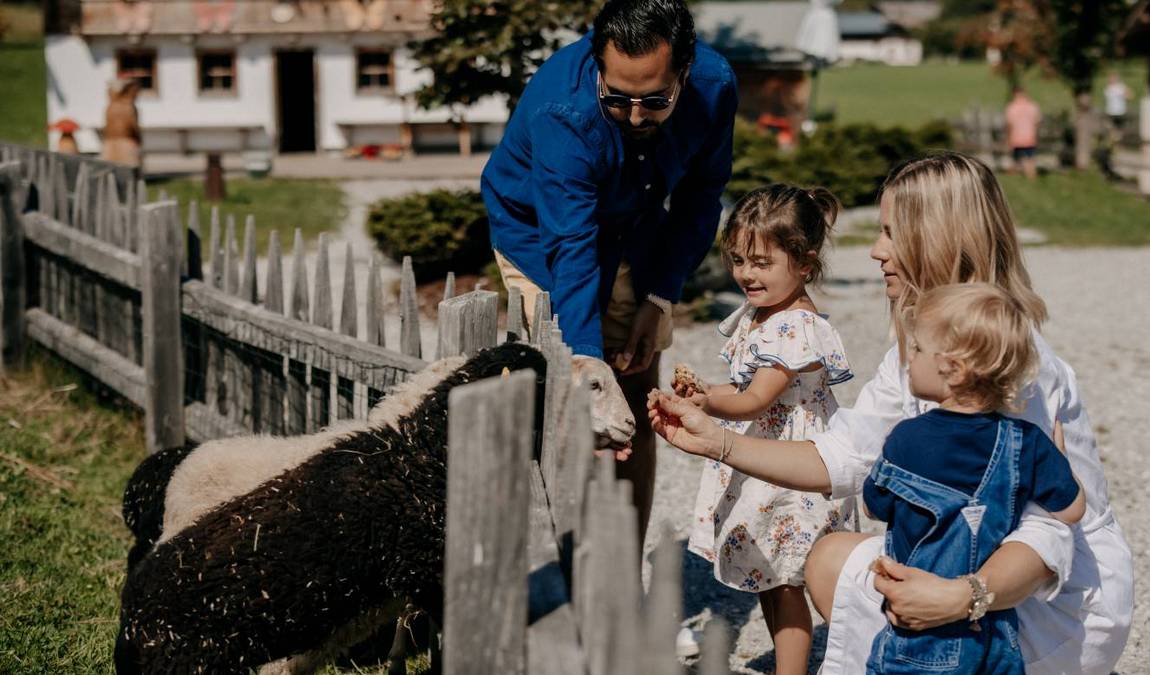 the minigut photo 2