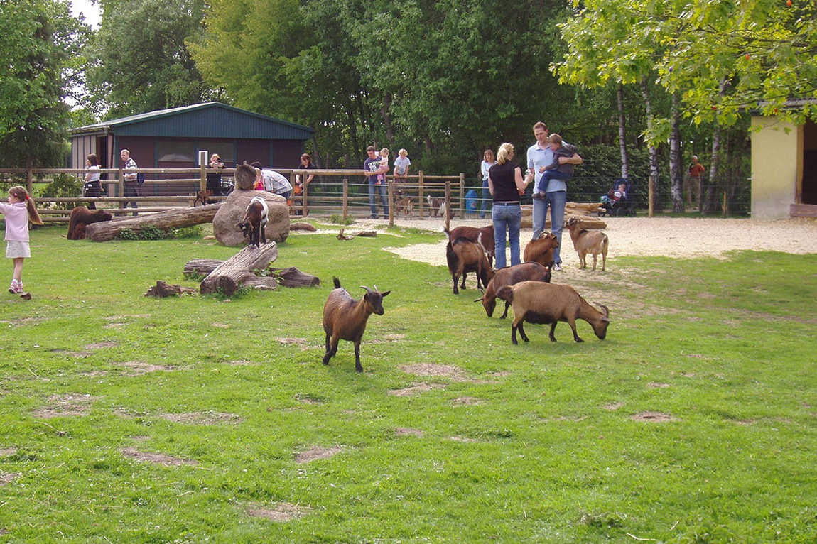 ludwigslust zoo photo 5