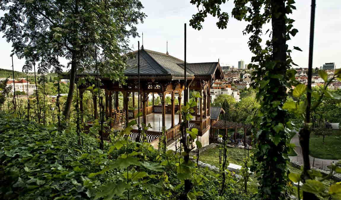 havlicek gardens  photo 1