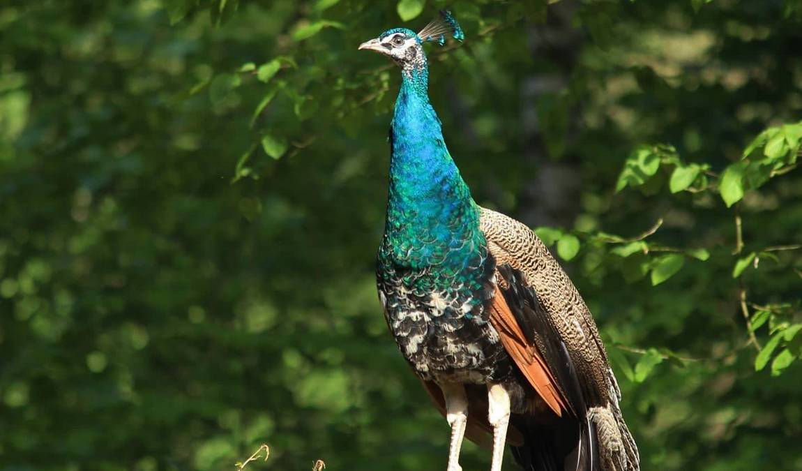 zoo eberswalde photo 6