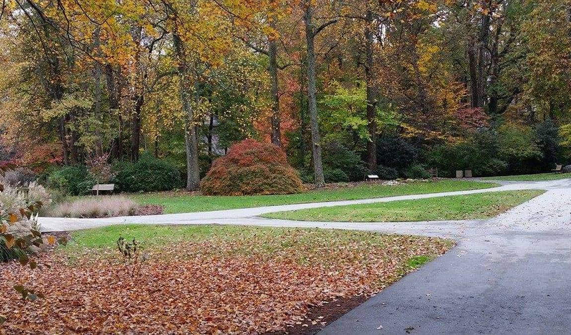 greensboro arboretum photo 4