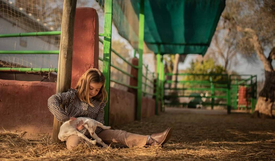 granja escuela cuna espartinas photo 1
