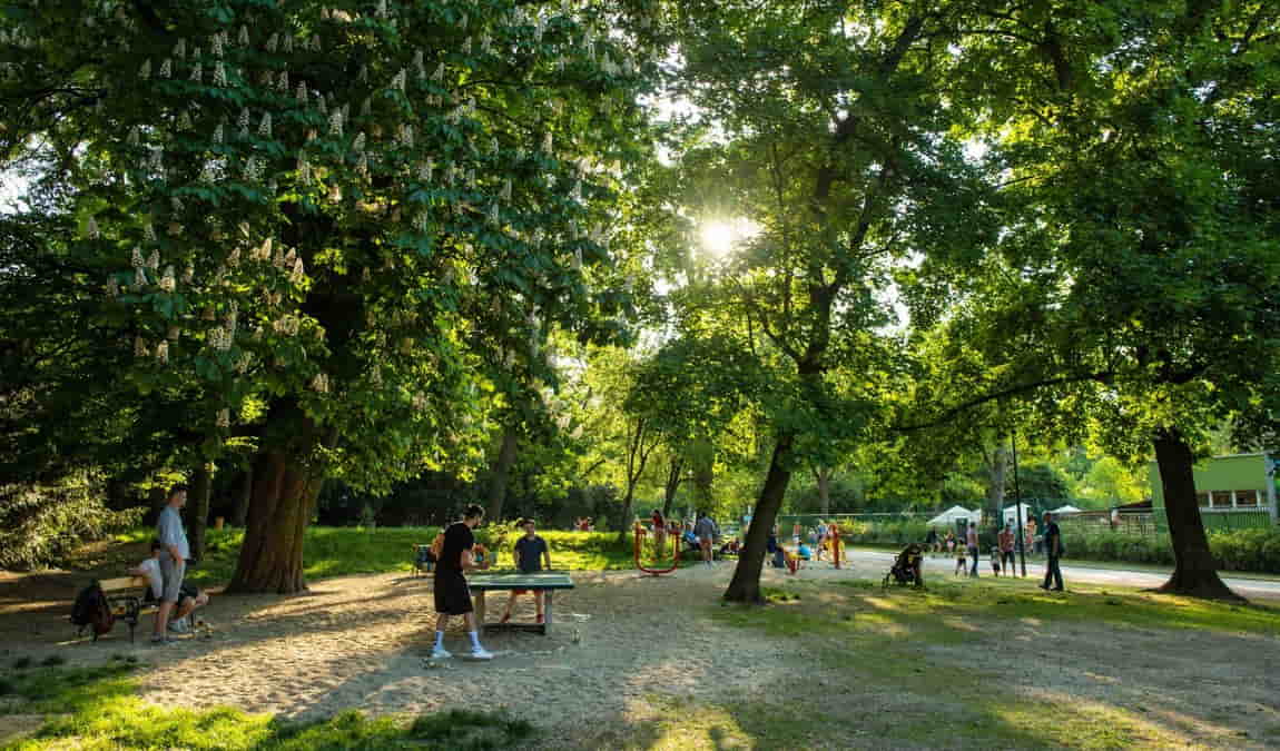 park luzanky photo 6