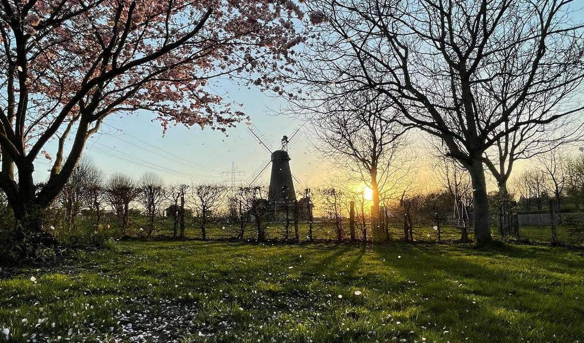 glessener mühlenhof photo 2