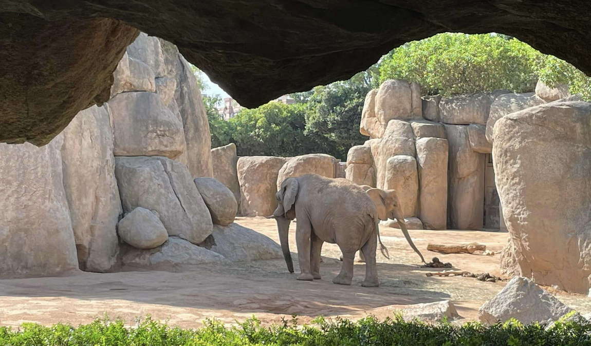 nature and adventure park buchenberg photo 3