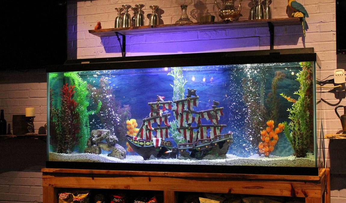 captain jack's miniature golf photo 4