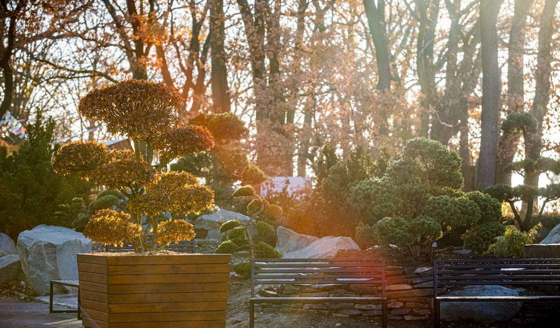 ostrava zoo photo 10