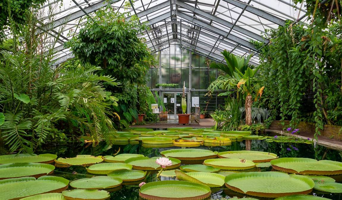 bonn botanical gardens photo 3