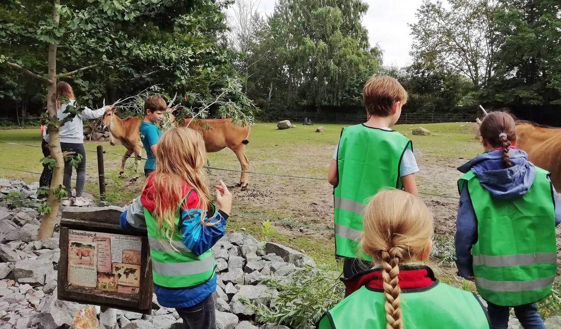 delitzsch zoo photo 5