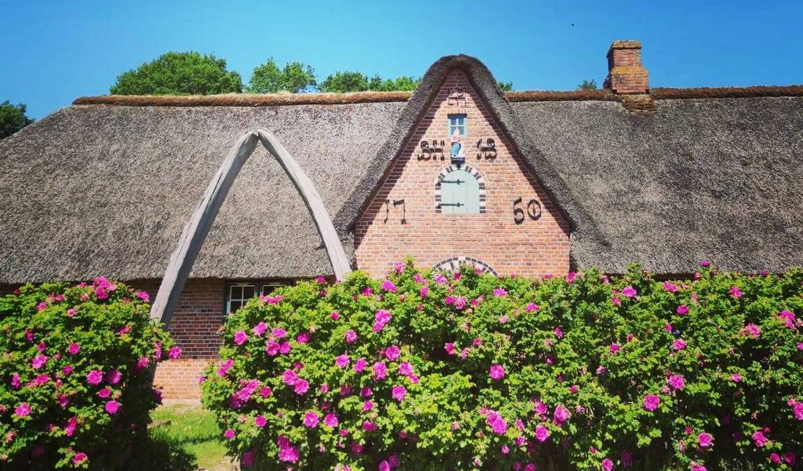 open air museum molfsee - state museum of ethnology photo 2