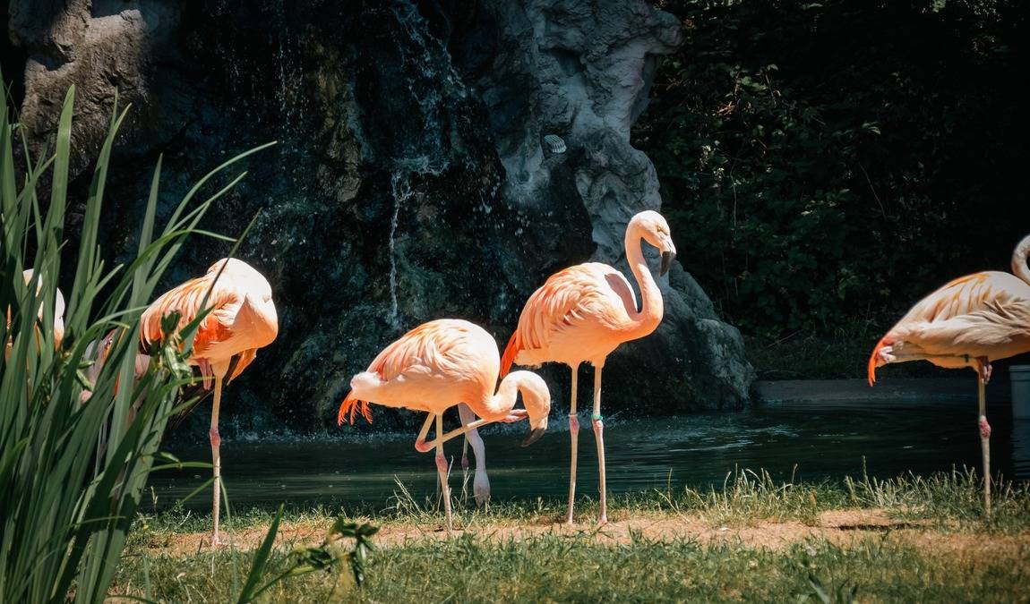 freizeit-land geiselwind photo 4