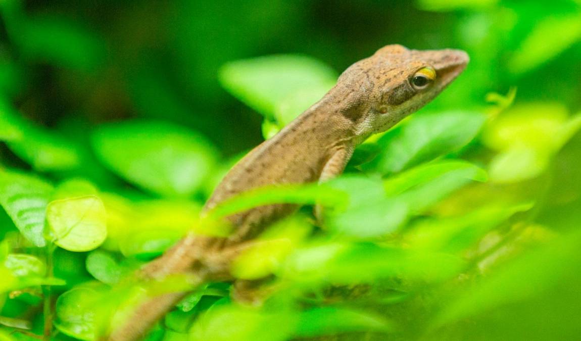 reptilienhaus oberammergau photo 1
