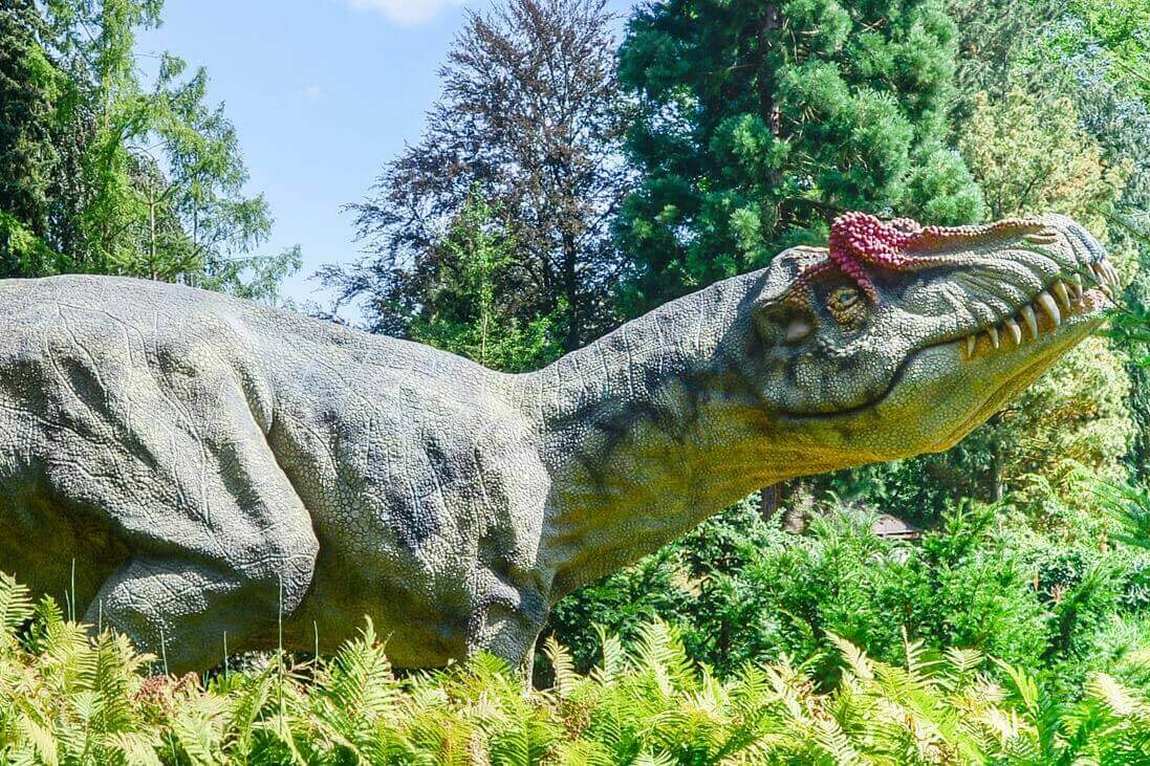 dinopark plzen photo 3