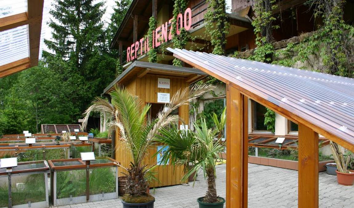 reptilienzoo nockalm photo 1