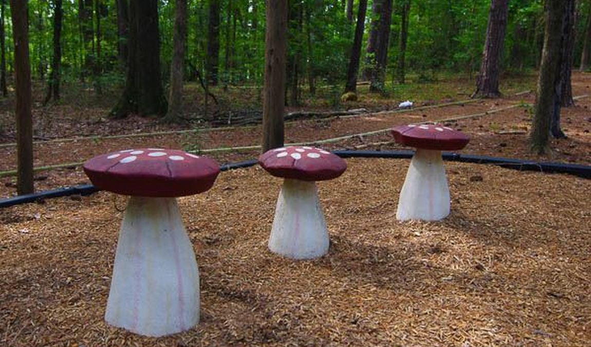 holt school road park photo 1