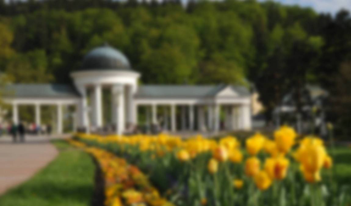 park boheminium photo 5