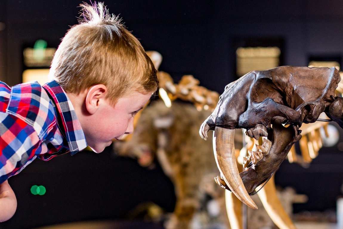 neanderthal museum photo 2