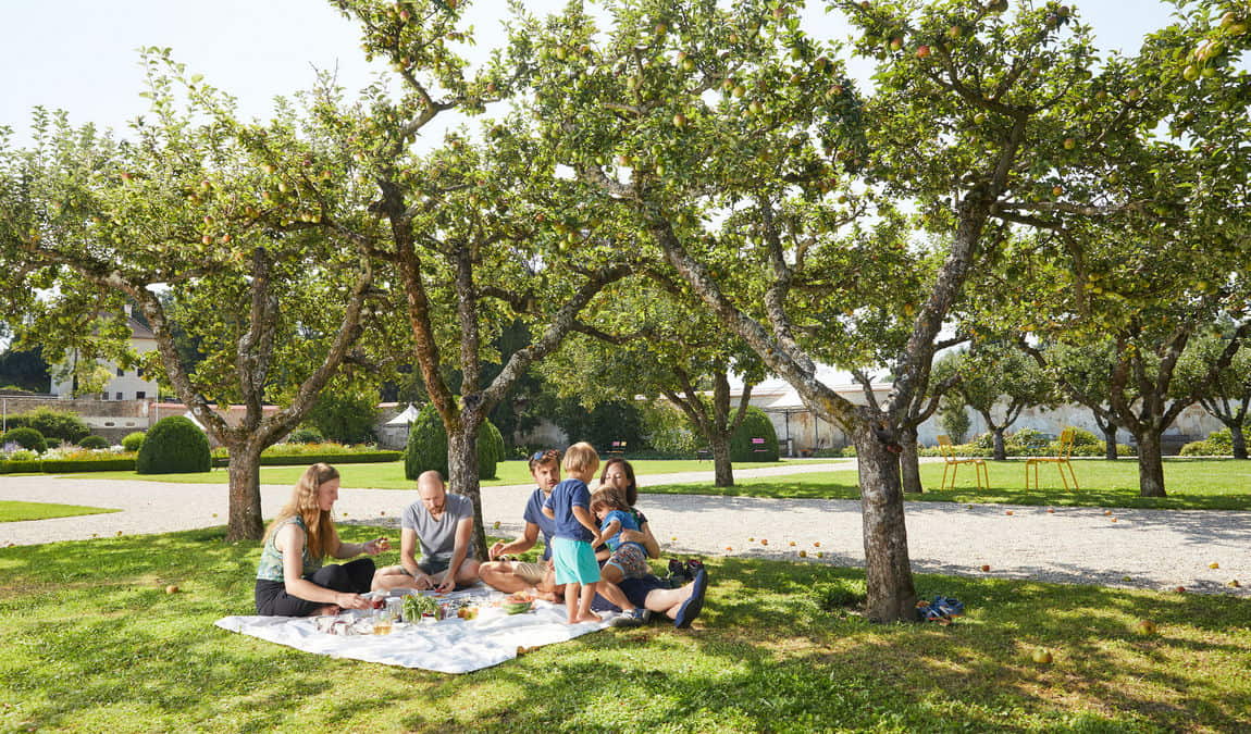 schallaburg castle photo 4