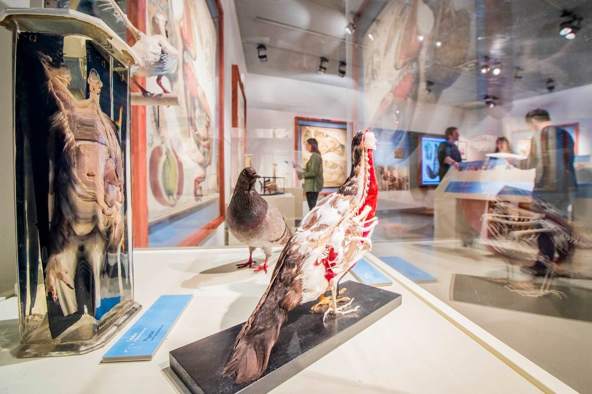 house of nature photo 6