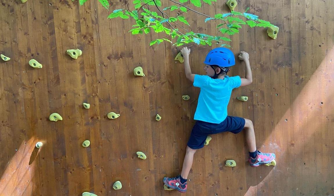 woodland climbing park faistenau photo 3