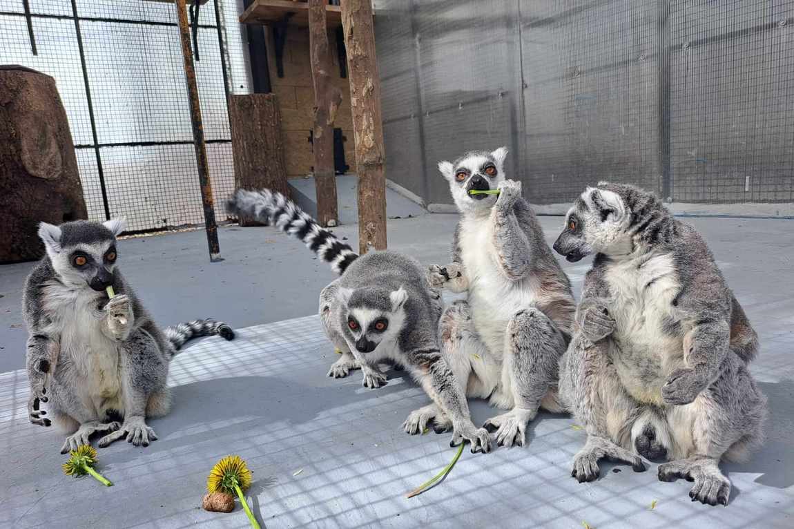 private zoo sedlec photo 1