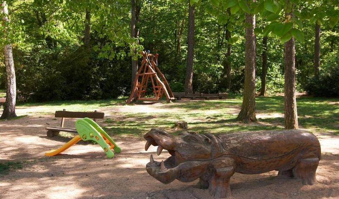 obora hvezda photo 2