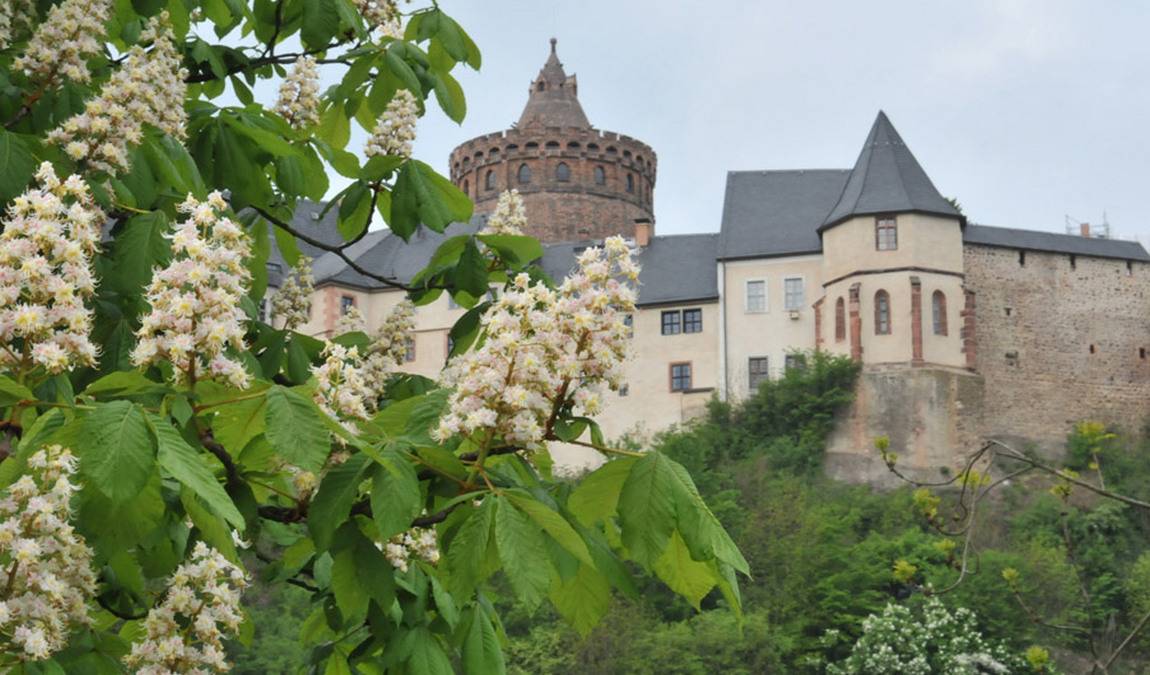 mildenstein castle photo 7
