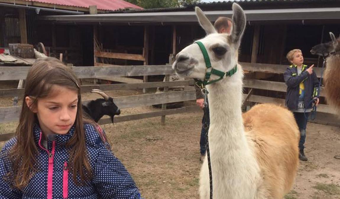 rolfs streichel zoo photo 5