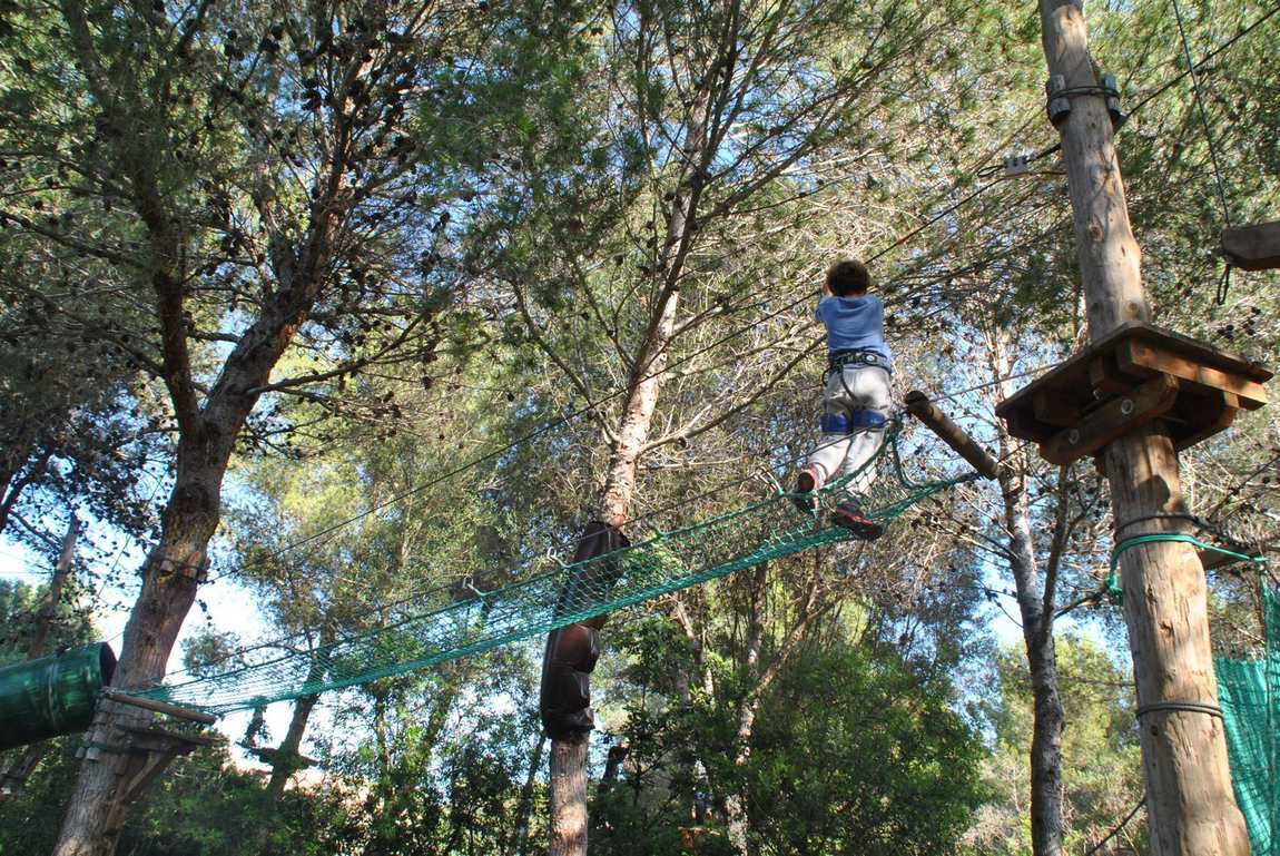 jungle park mallorca photo 1