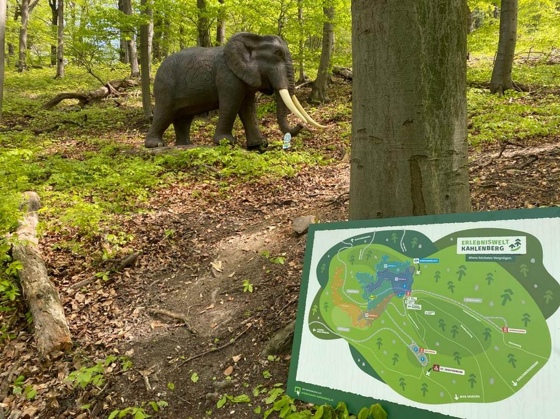 forest rope park kahlenberg photo 4