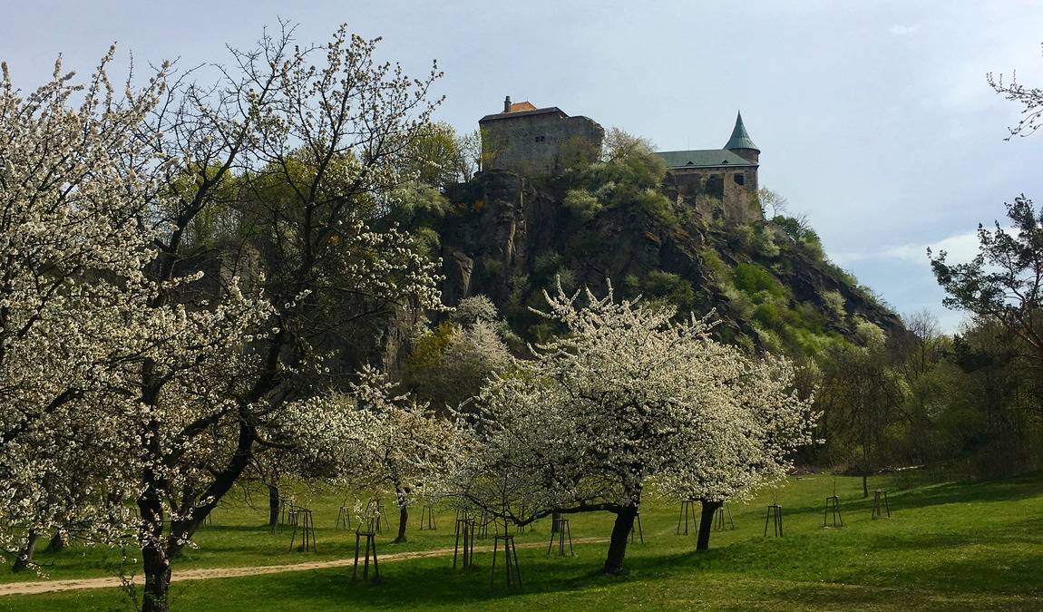 hrad kuneticka hora photo 6