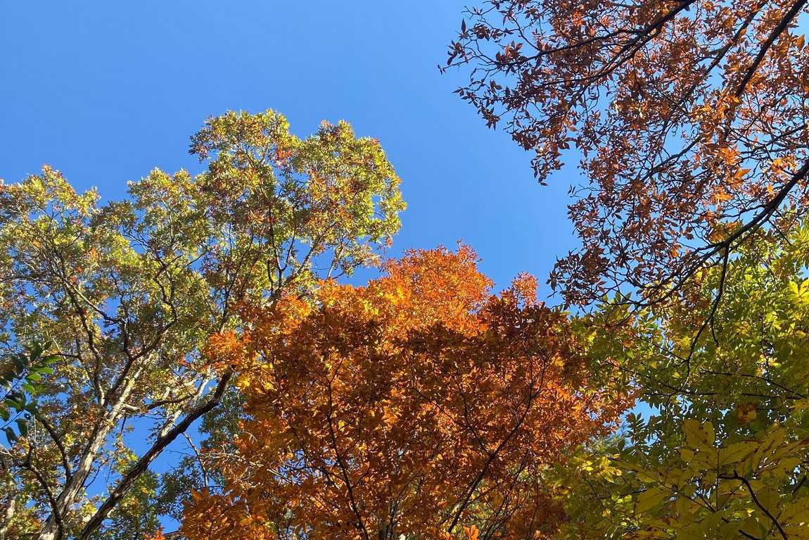 bent creek community park photo 7