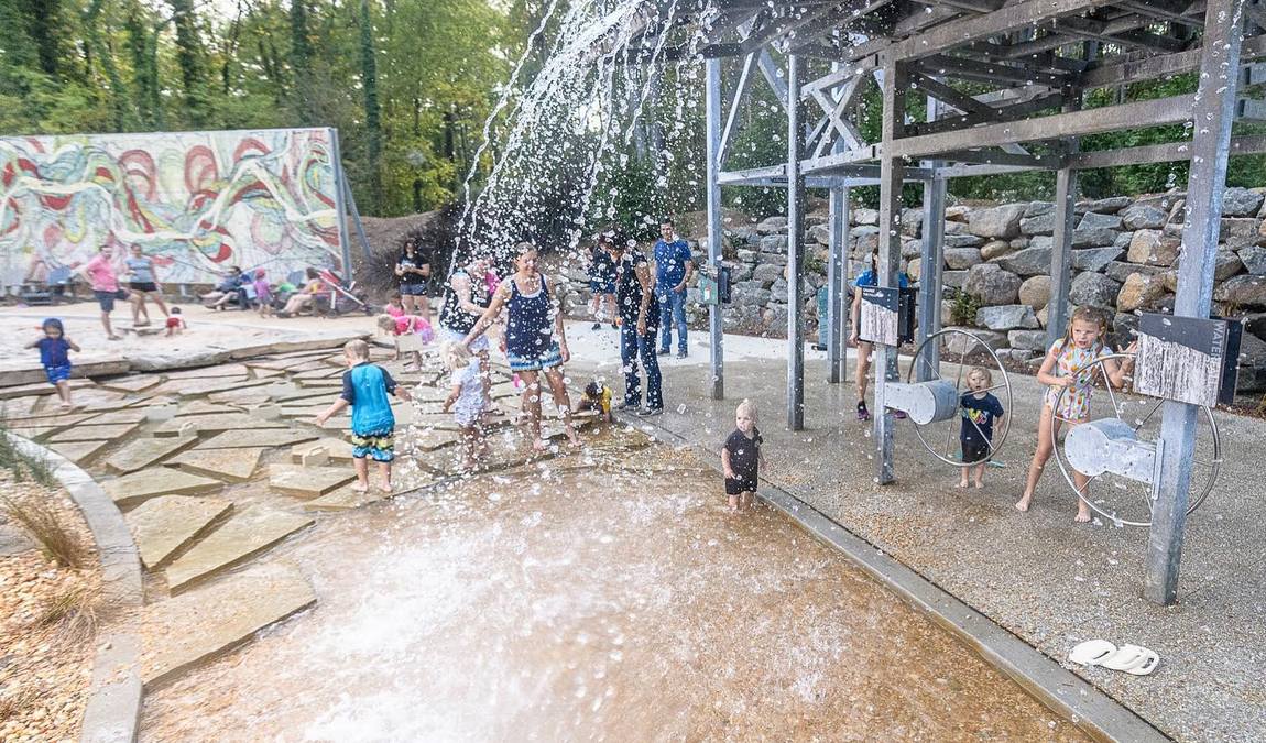 museum of life and science photo 8