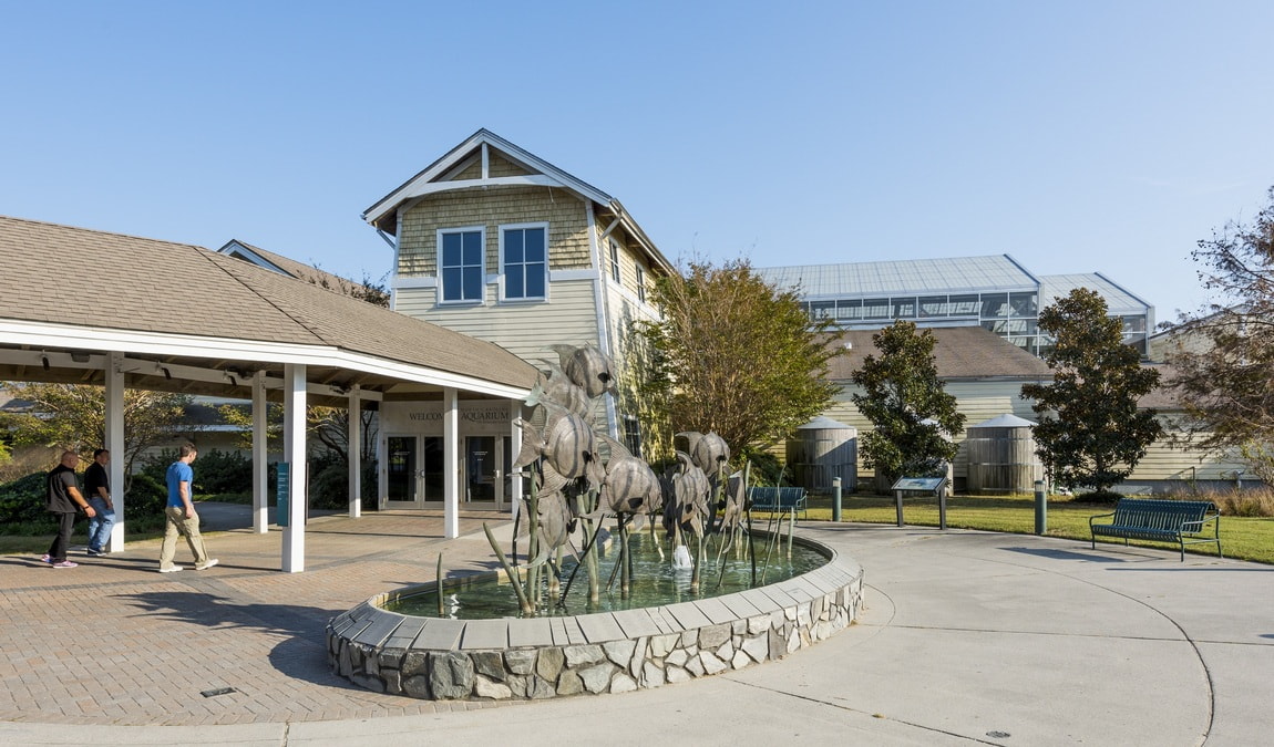 north carolina aquarium on roanoke island photo 2