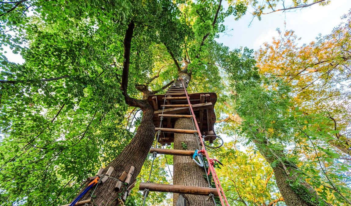 rope park tattendorf photo 6