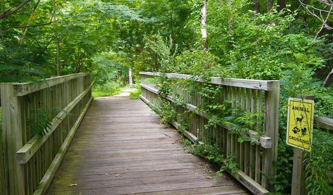 bethesda park photo 5