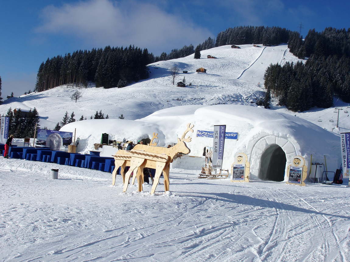 alpeniglu photo 1