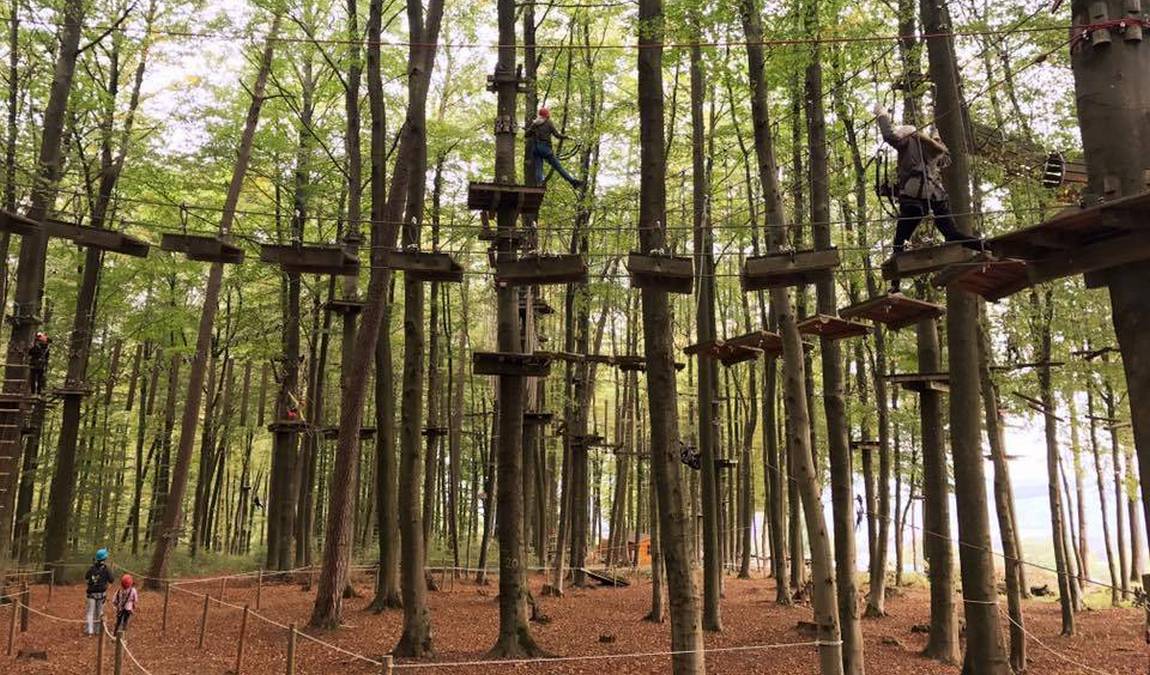 kletterwald kassel photo 2