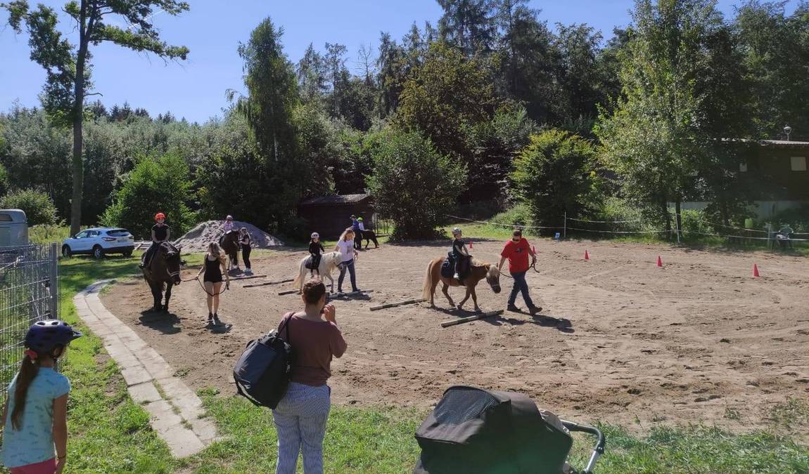 petting zoo rulzheim photo 3